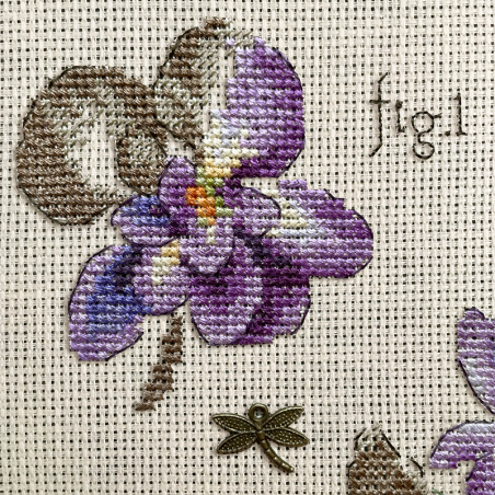 Aida : «Violette» Study (maxi-pattern)