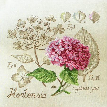 Aïda : «Hortensia» Study (maxi-pattern)