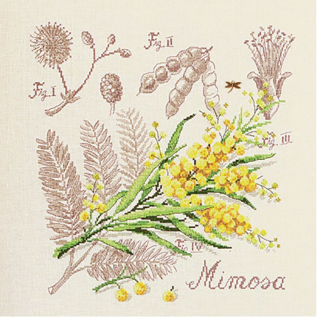 Lin : Étude au Mimosa (maxi-grille)