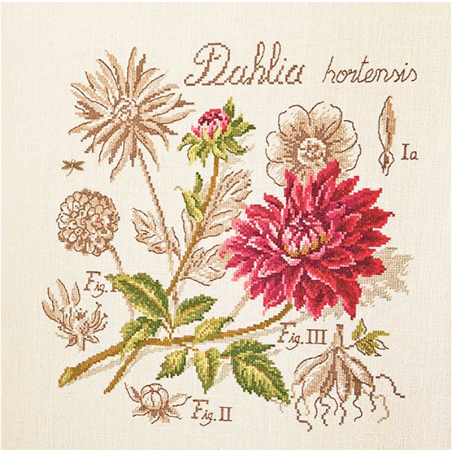 Linen : «Dahlia» Study (maxi-pattern)