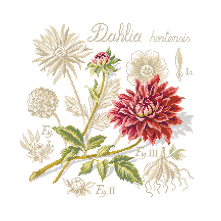 Linen : «Dahlia» Study (maxi-pattern)