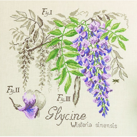 Linen : «Glycine» Study (maxi-pattern)