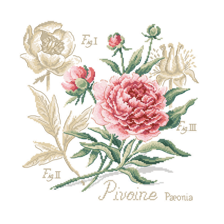 Linen : «Pivoine» Study (maxi-pattern)