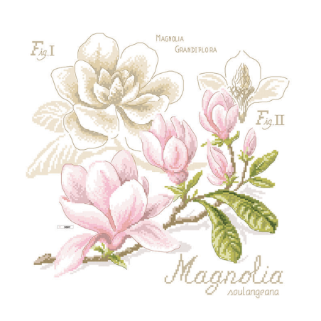 Linen «Magnolia» Study (maxi-pattern)