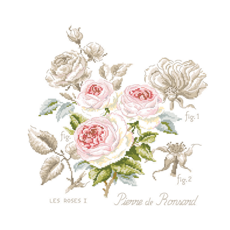 Linen rose study «Pierre de Ronsard» (maxi-pattern)