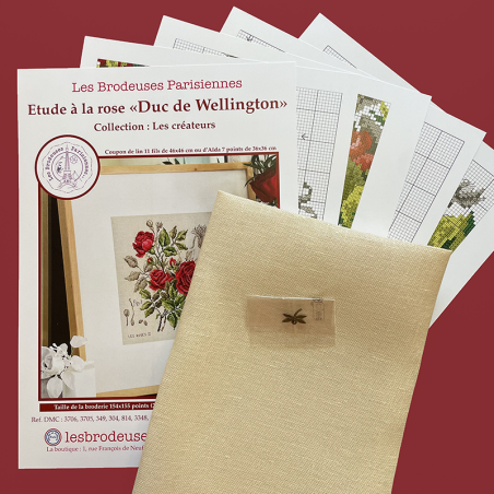 Linen rose study «Duc de Wellington» (maxi-pattern)