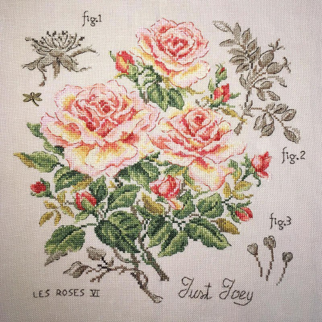 Linen rose study «Just Joey» (maxi-pattern)