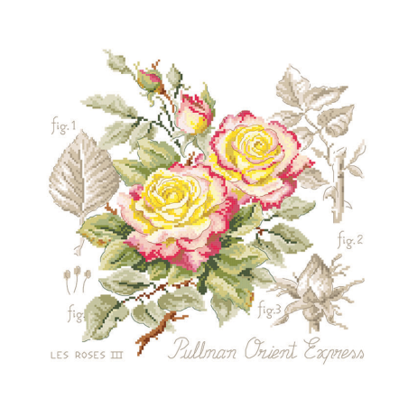 Linen rose study «Pullman Orient Express» Maxi-Pattern