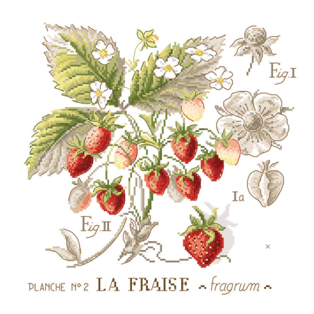 Linen «Fraises» study (maxi-pattern)