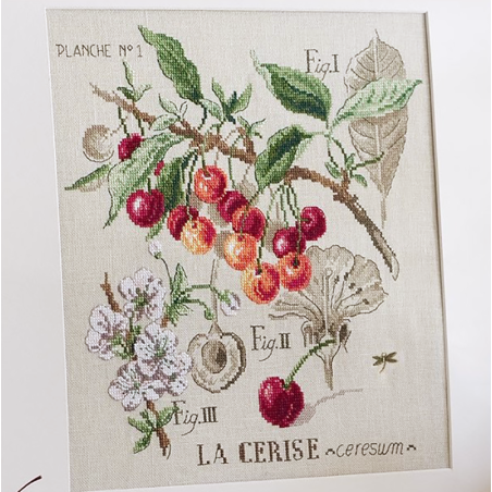 Linen «Cerises» Study (maxi pattern)