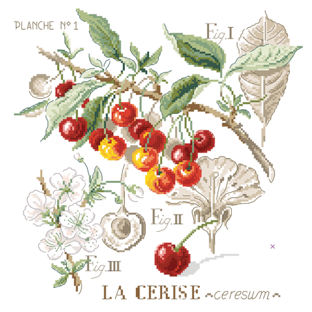 Linen «Cerises» Study (maxi pattern)