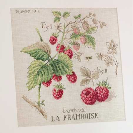 Aïda «Framboises» study (Maxi Pattern)