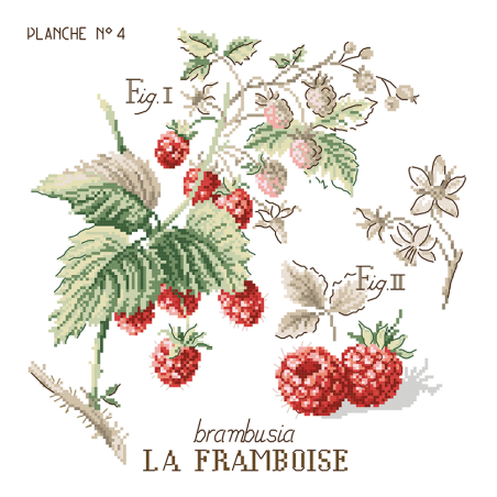 Aïda «Framboises» study (Maxi Pattern)