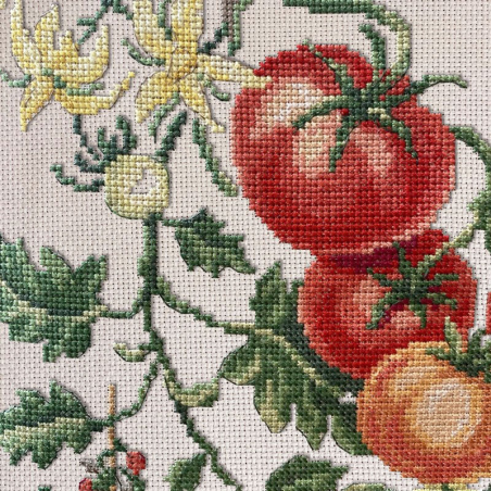 Aida «Tomates» Study (maxi pattern)