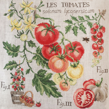 Aida «Tomates» Study (maxi pattern)