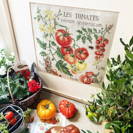 Aida «Tomates» Study (maxi pattern)