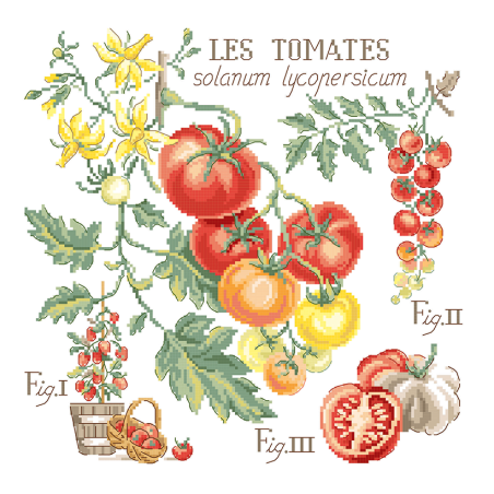 Aida «Tomates» Study (maxi pattern)