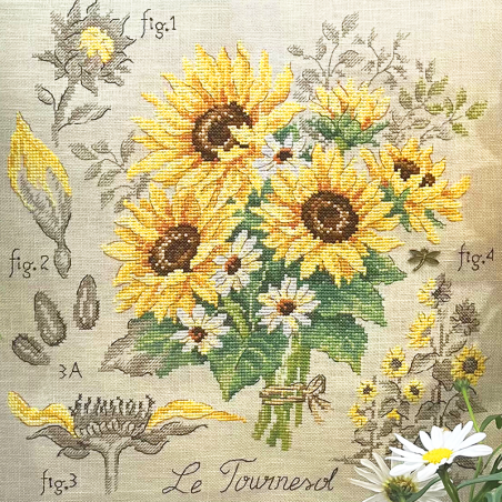 Lin : Étude aux tournesols (maxi-grille)