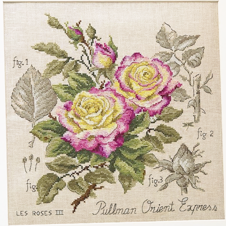 Linen rose study «Pullman Orient Express» Maxi-Pattern