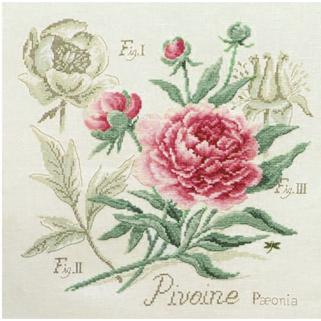 Linen : «Pivoine» Study (maxi-pattern)