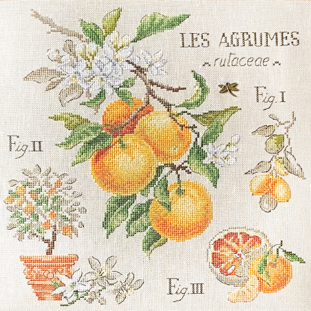 Linen «Agrumes» Study (maxi pattern)