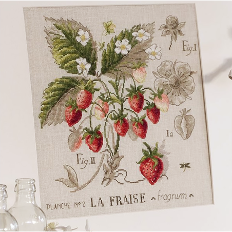 Aïda «Fraises» study (Maxi Pattern)