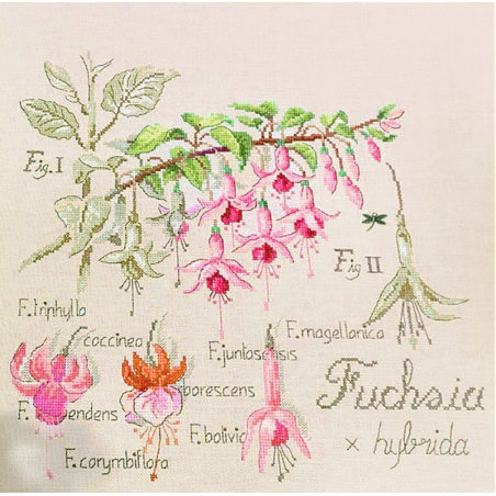 Linen : «Fuchsia» Study (maxi-pattern)