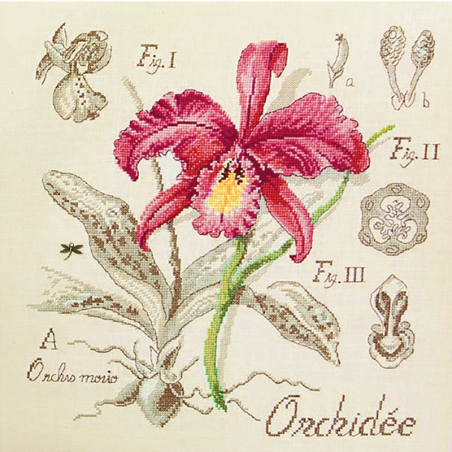 Lin : Étude à l'Orchidée (maxi-grille)