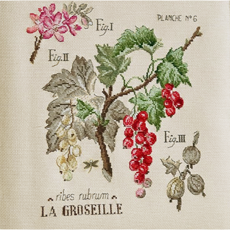 Linen «Groseilles» Study (maxi-pattern)