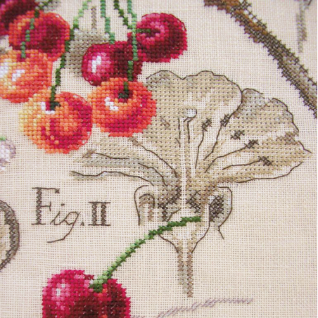 Linen «Cerises» Study (maxi pattern)