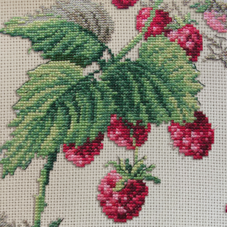 Aïda «Framboises» study (Maxi Pattern)