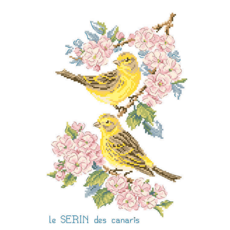 Linen «Serin» Study